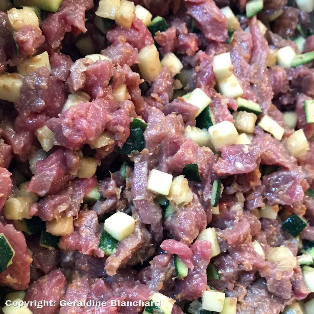 Ration faite maison pour chien